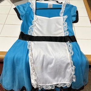 Adult Alice in Wonderland Costume Dress
